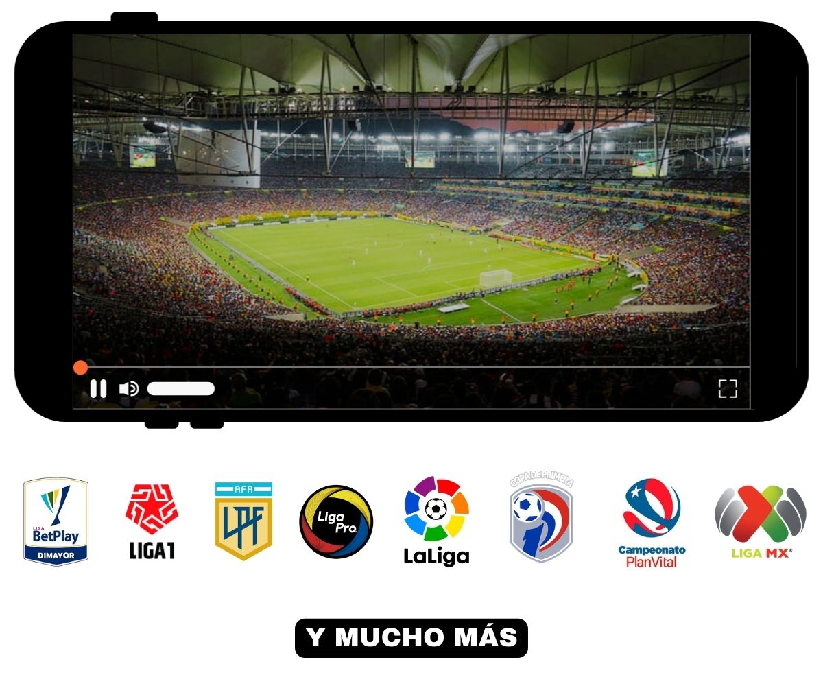 Copas y Ligas Nacionales